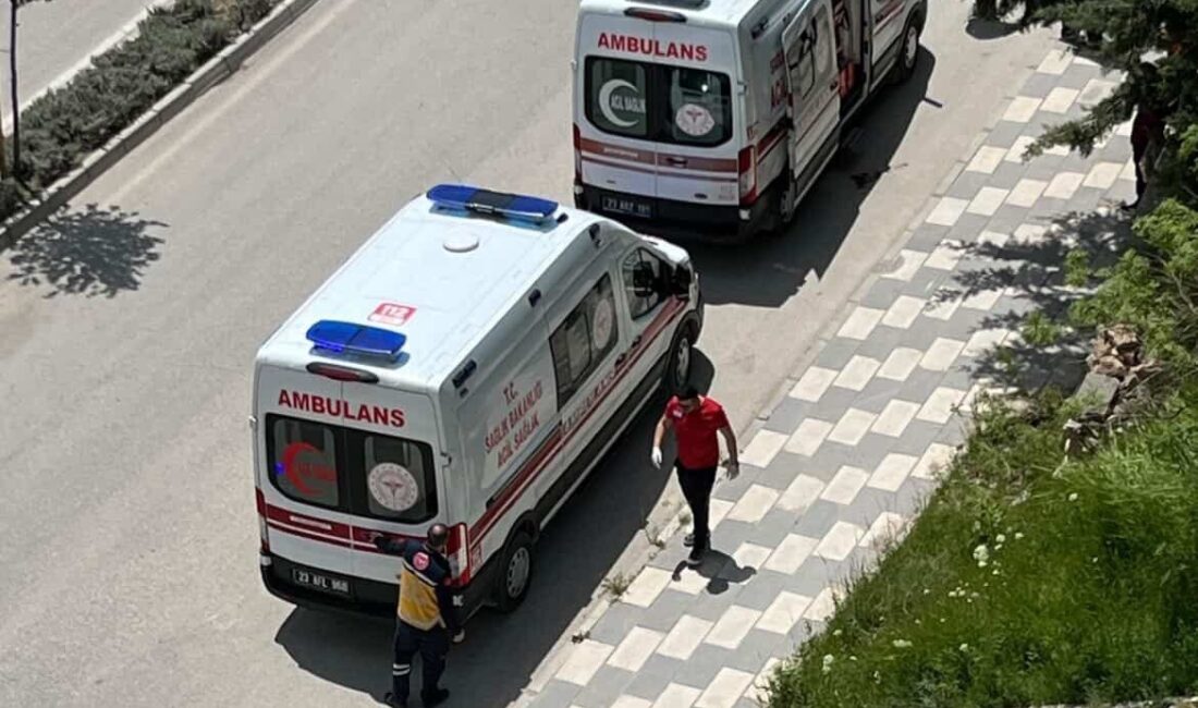 Elazığ’da motosikletin devrilmesi sonucu meydana gelen trafik kazasında, 2 kişi