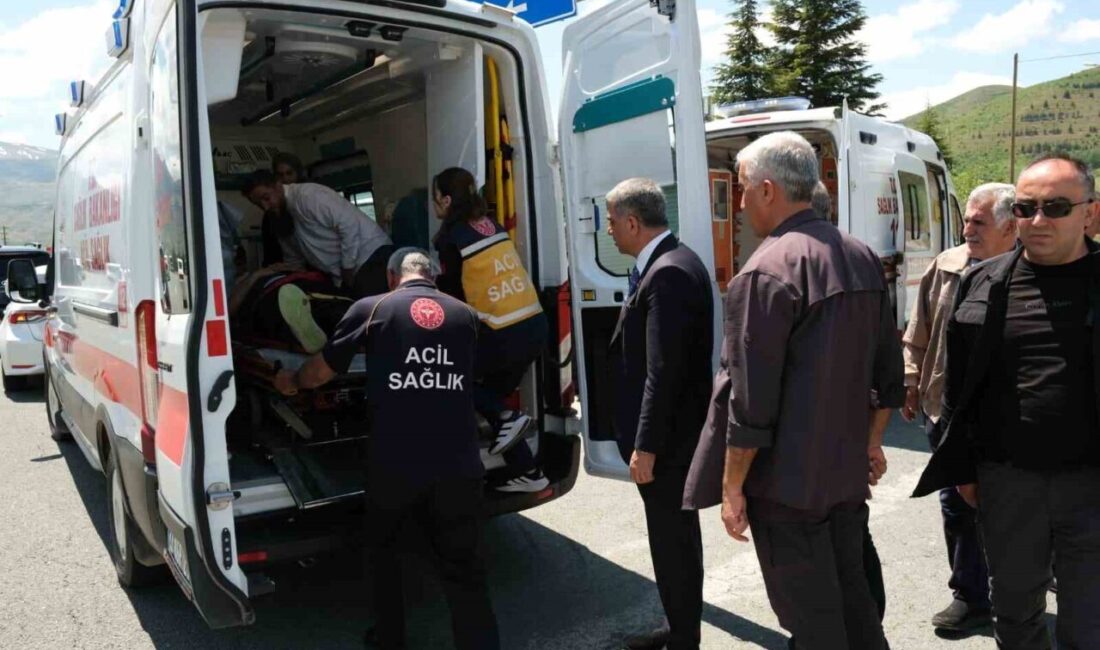 Elazığ’da sürücüsünün direksiyon hakimiyetini kaybettiği otomobil, aydınlatma direğine çarptı. Kazada
