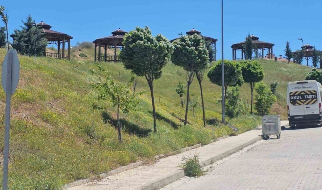 Elazığ’da etkili olan şiddetli rüzgar, kent genelinde günlük yaşamı olumsuz