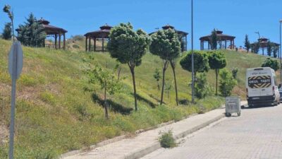 Elazığ’da etkili olan şiddetli rüzgar, kent genelinde günlük yaşamı olumsuz