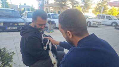 Elazığ’da bir iş yeri sahibinin beslediği ’Zeytin’ isimli oğlak mahallenin
