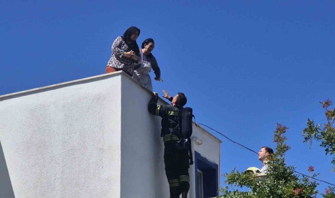 Muğla’nın Bodrum ilçesinde elektrik hattındaki patlama sonucu çıkan yangında binada