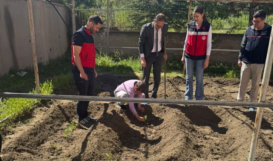 Kütahya’nın Emet ilçesinde minik öğrenciler, düzenlenen fide dikim etkinliğinde doğayla