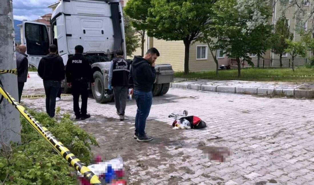 Kütahya’nın Emet ilçesinde geri manevra yapan tırın çarptığı yaşlı kadın