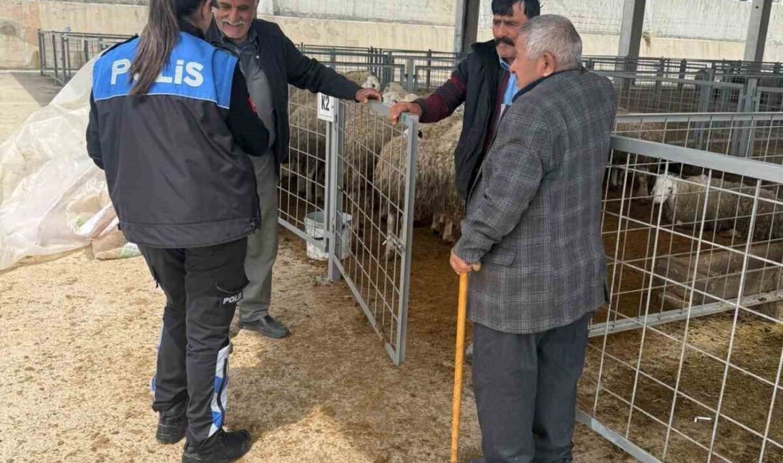 Çankırı’da polis ekipleri, Kurban Bayramı öncesi hayvan pazarında vatandaşları sahte