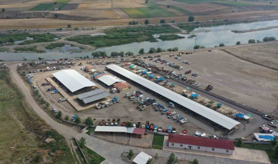 Tokat’ın Erbaa ilçesindeki hayvan pazarı, 23 Mayıs Cumartesi günü itibariyle