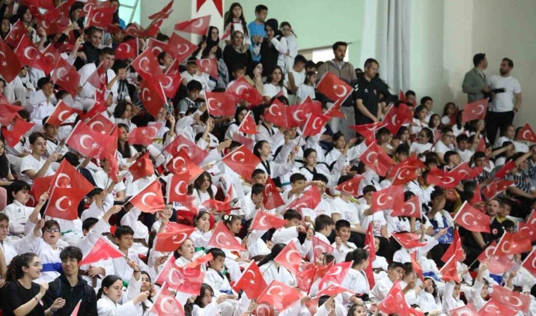 Erzincan’da 19 Mayıs Atatürk’ü Anma, Gençlik ve Spor Bayramı düzenlenen