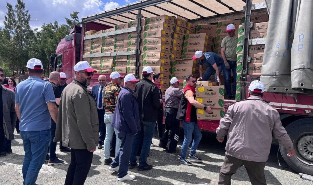 Erzincan’da 220 üreticiye toplam 779 bin 520 adet kapya biber