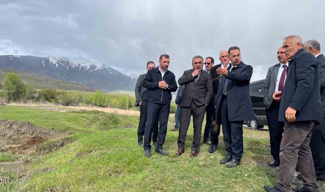 Erzincan İl Genel Meclis Başkanı Mehmet Cavit Şireci, Karakaya köyündeki