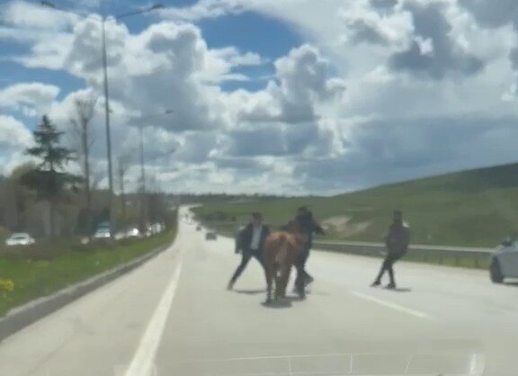 Erzurum’da yaklaşan Kurban Bayramı öncesi arefe gününde her yıl yaşanan