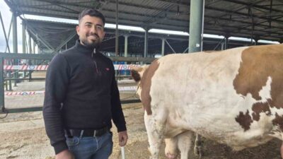 Eskişehir Hayvan Pazarı’nda Kurban Bayramı hareketliliği başlarken, pazarın “şampiyonu” olarak