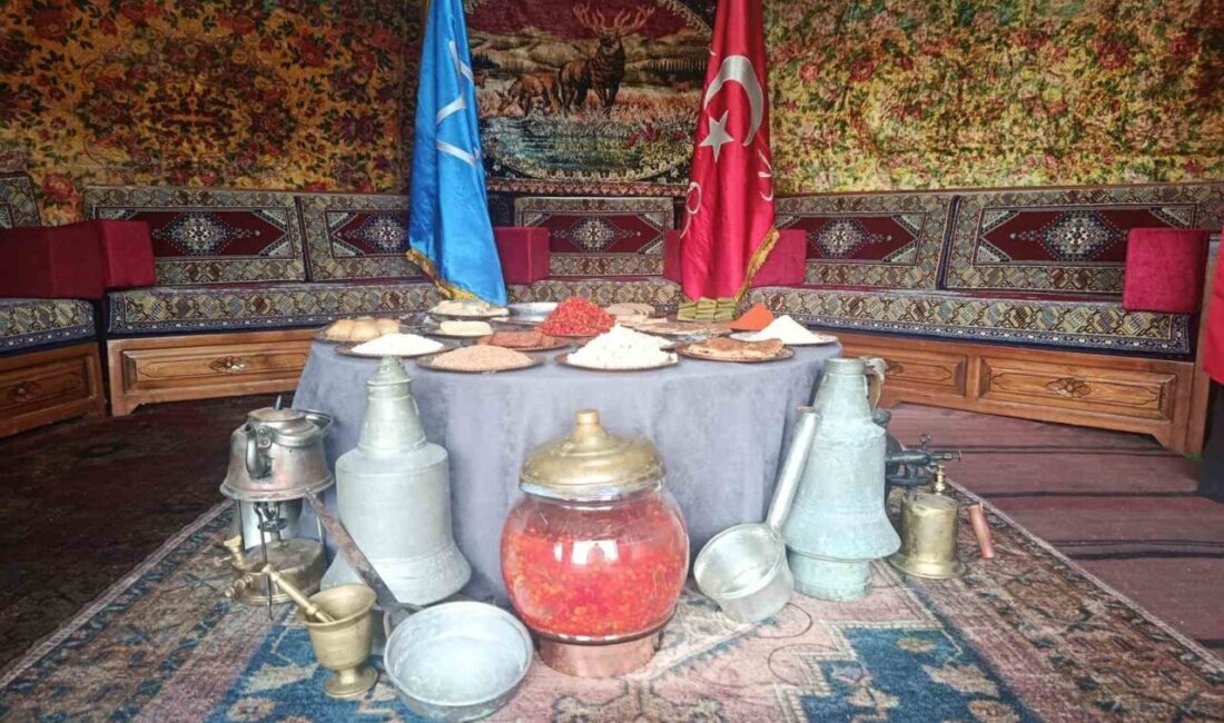 Atatürk Havalimanı etkinlik alanında düzenlenen 8. Etnospor Kültür Festivali’nde kurulan