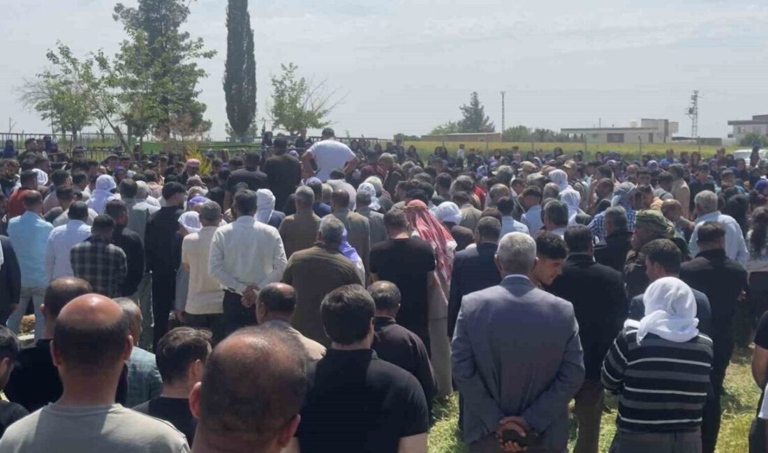 Şanlıurfa’nın Ceylanpınar ilçesinde kayıp olarak arazide aranırken kendi evlerinin damında