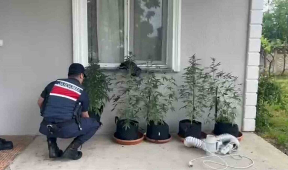 DÜZCE (İHA) – Düzce İl Jandarma Komutanlığı ekiplerinin yaptığı çalışmayla