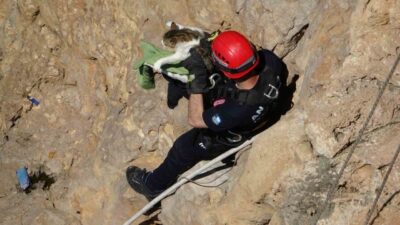Antalya’da yaklaşık 30 metrelik falezlerde mahsur kalan kedi, itfaiye ekipleri