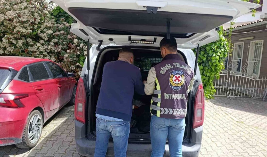 İstanbul Fatih’te trafikte başka bir aracı ısrarla takip ederek tartışma