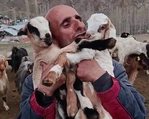 Erzurum’un Tortum ilçesinde yaşayan ve sosyal medyada paylaştığı doğal yaşam