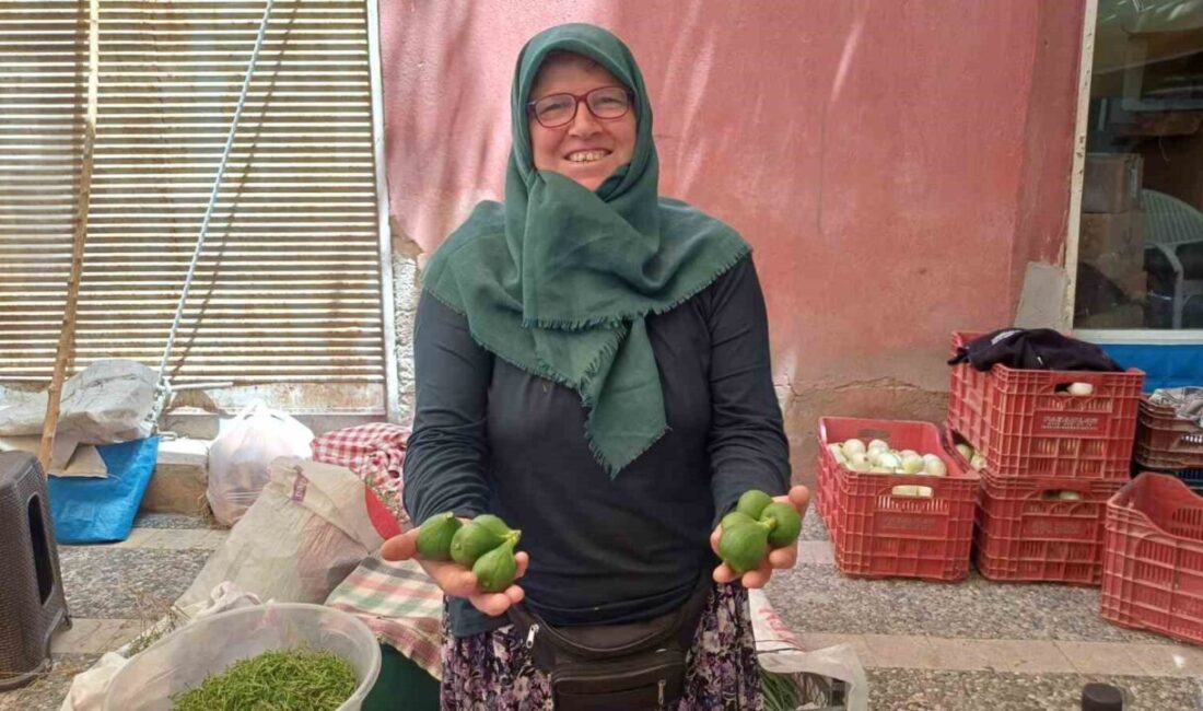 Filmlere bile konu olan incir reçelinin yapımında kullanılan ilekler, pazar