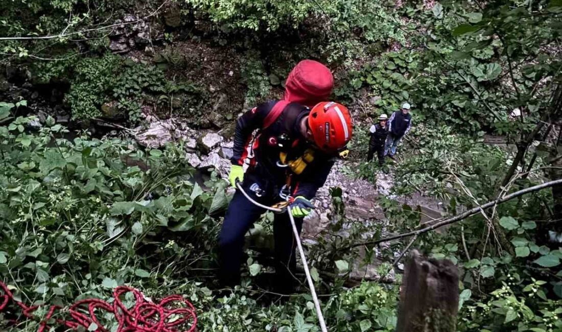 Sakarya’nın Kocaali ilçesinde fındık bahçesinden uçurama yuvarlanan 62 yaşındaki adam,