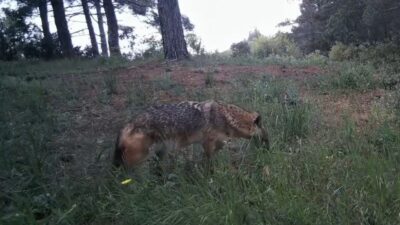 Tekirdağ’ın doğal yaşam açısından en zengin bölgelerinden biri olan Ganos