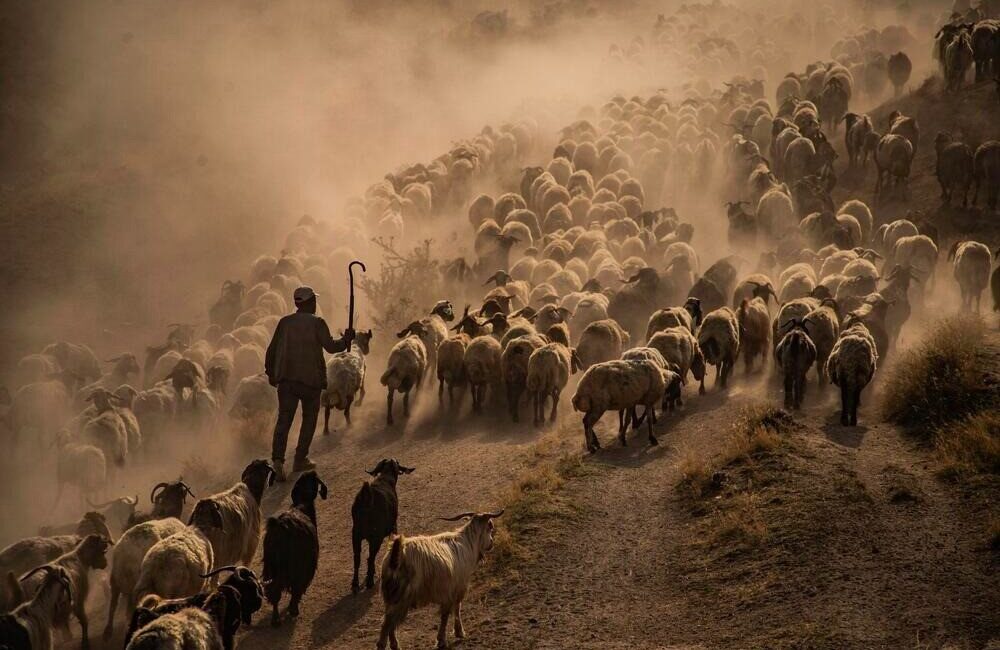 FOTONO21 Fotoğraf Derneği tarafından düzenlenen ve Türkiye’de portfolyo temelli yapısıyla