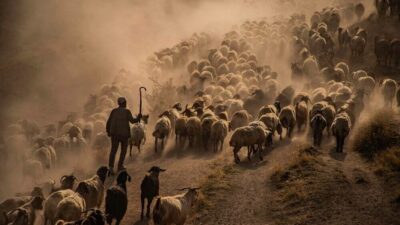 FOTONO21 Fotoğraf Derneği tarafından düzenlenen ve Türkiye’de portfolyo temelli yapısıyla