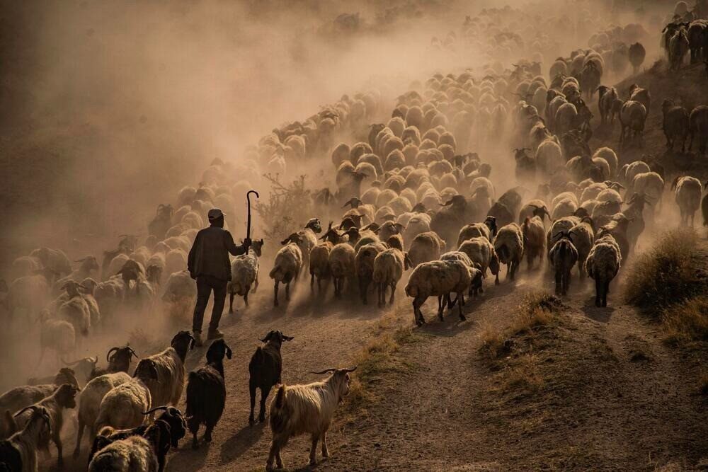 FOTONO21 Fotoğraf Derneği tarafından düzenlenen ve Türkiye’de portfolyo temelli yapısıyla