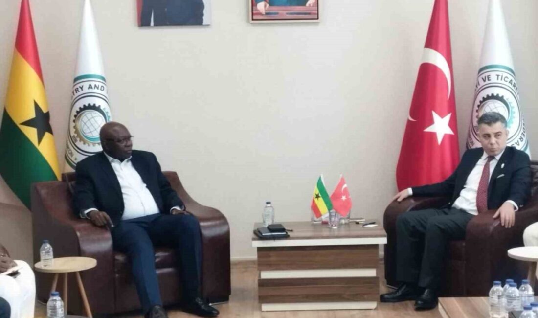 Gana Cumhuriyeti’nin eski Ekonomi Bakanı ve mevcut hükümetteki Gana Cumhuriyeti