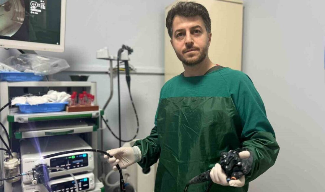 Van Eğitim ve Araştırma Hastanesi Gastroenteroloji Uzmanı Dr. Yusuf Kayar,