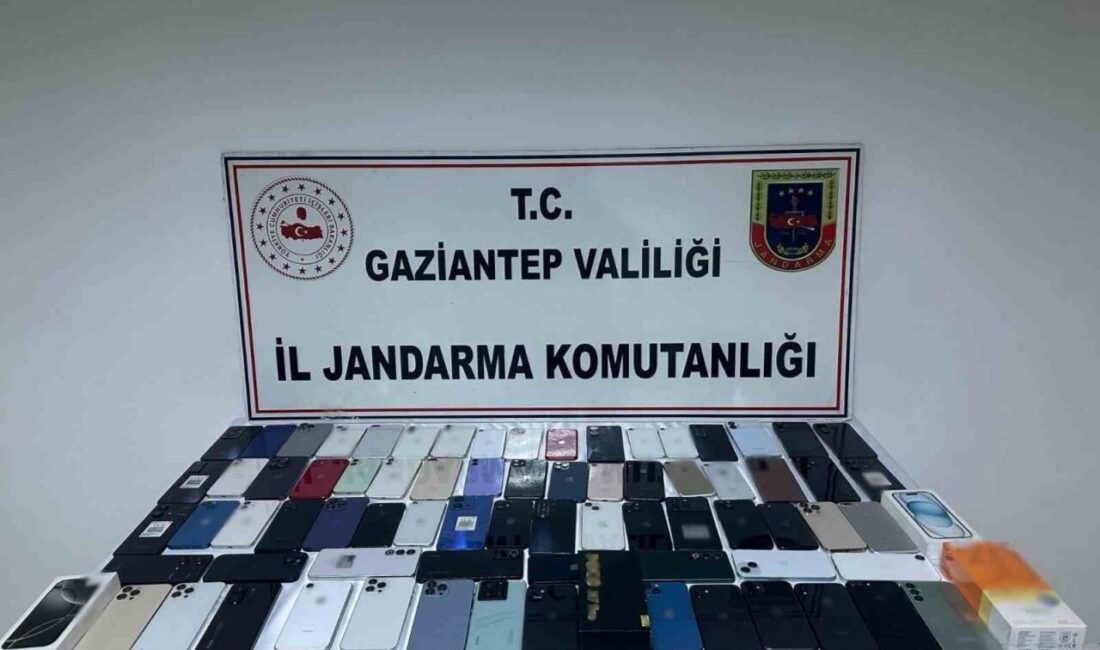 Gaziantep’te piyasa değeri 3 milyon 120 bin TL olan 77