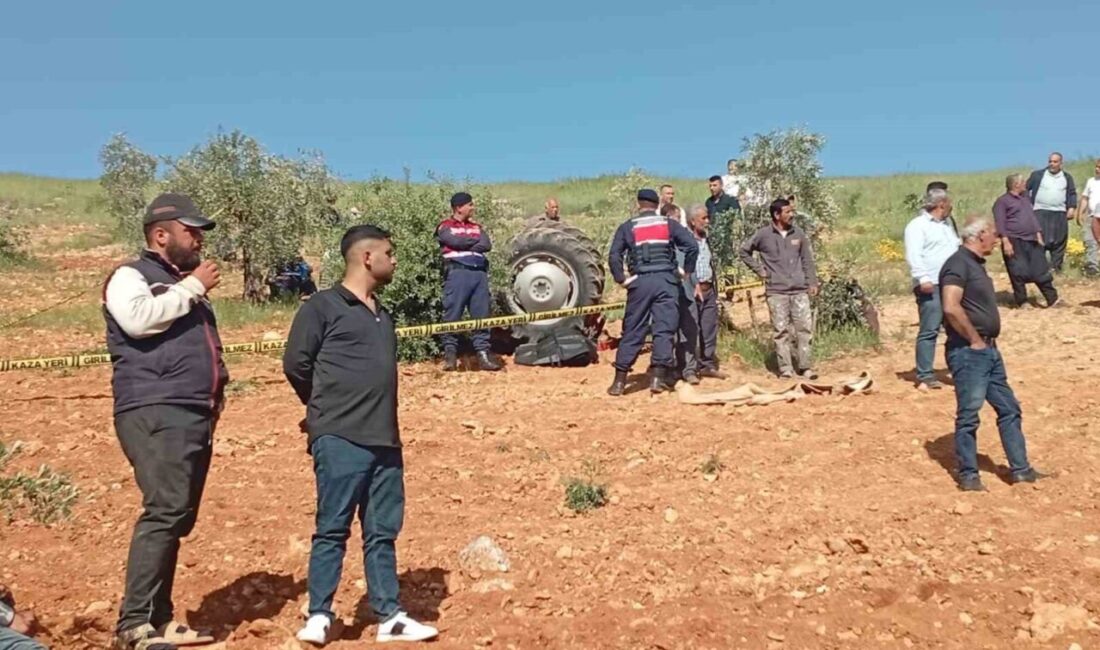 Gaziantep’in Nizip ilçesinde fıstık tarlasını sürmek isteyen çiftçi, traktörün devrilmesi