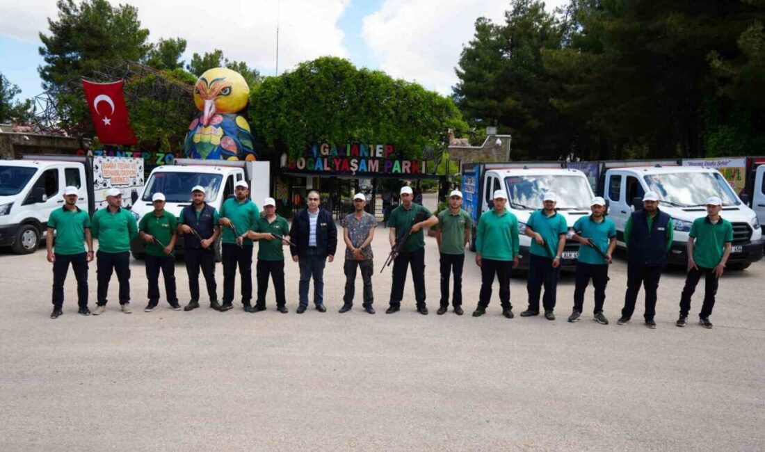 Gaziantep Büyükşehir Belediyesi tarafından oluşturulan “Kurban Yakalama Timi”, Kurban Bayramı’nda