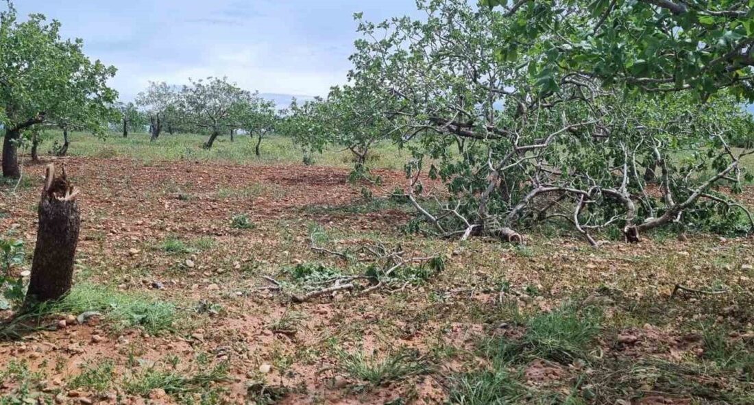 Gaziantep’te hafta sonu etkili olan ‘süper hücre’ fırtınası ve şiddetli