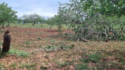 Gaziantep’te hafta sonu etkili olan ‘süper hücre’ fırtınası ve şiddetli