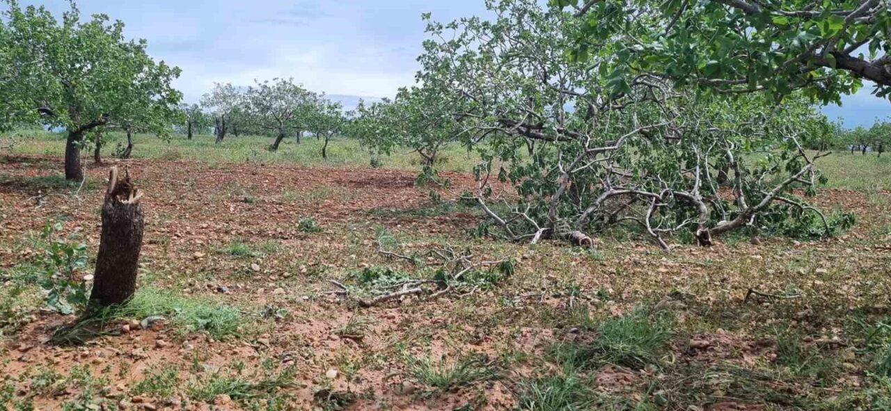 Gaziantep’te hafta sonu etkili olan ‘süper hücre’ fırtınası ve şiddetli