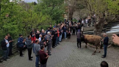 Erzincan’ın Kemaliye ilçesinde uzun yıllardır sürdürülen “Şükür Kurbanı” geleneği yeniden