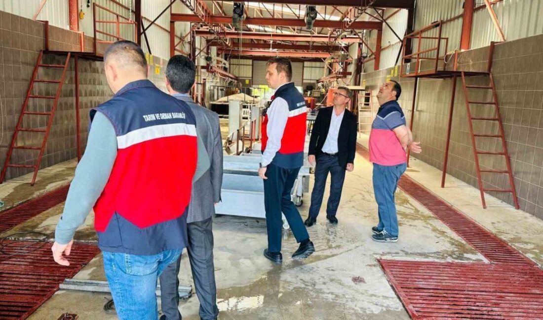 Kütahya’nın Gediz ilçesinde Kurban Bayramı öncesi geçici kurban kesim alanlarına