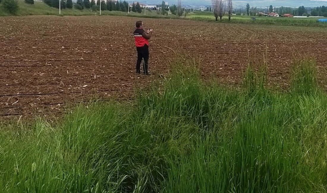 Kütahya’nın Gediz ilçesinde, İlçe Tarım ve Orman Müdürlüğü teknik personeli