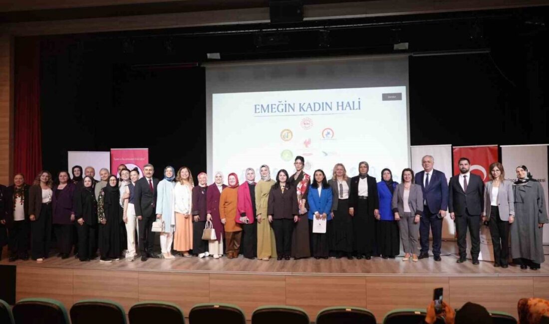 Düzce Valiliği himayesinde, Düzce Üniversitesi ve Düzce İl Özel İdaresi