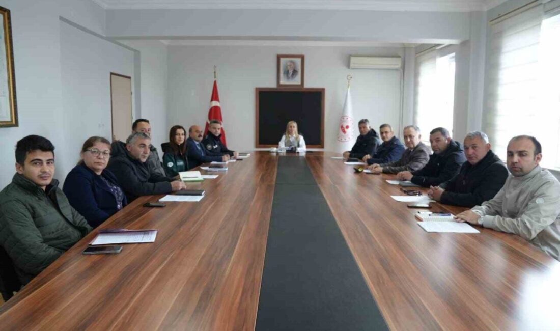 Zonguldak’ın Gökçebey ilçesinde Kaymakamı Ruveyda Kahraman Şıktaş başkanlığında toplanan Yangın