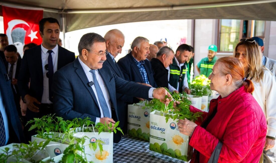 Gölbaşı Belediyesi seralarında ata tohumlarından üretilen 190 bin fide vatandaşlara