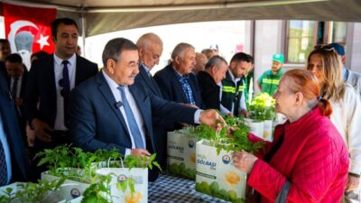 Gölbaşı Belediyesi seralarında ata tohumlarından üretilen 190 bin fide vatandaşlara