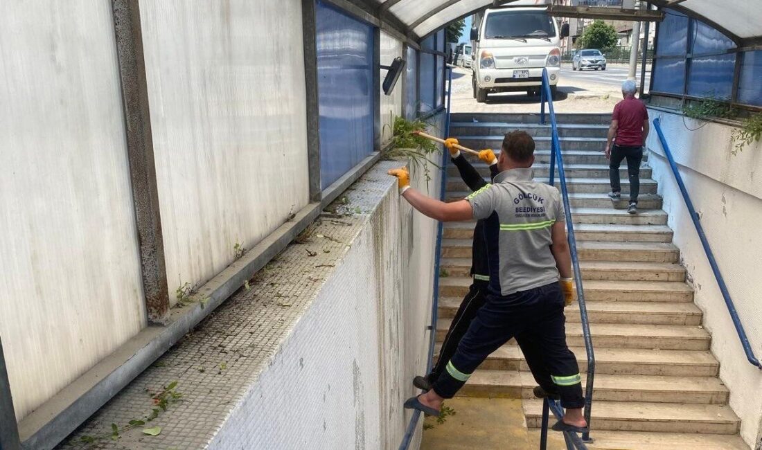 Gölcük Belediyesi ekipleri, ilçe sakinlerinin daha hijyenik ve huzurlu ortamda
