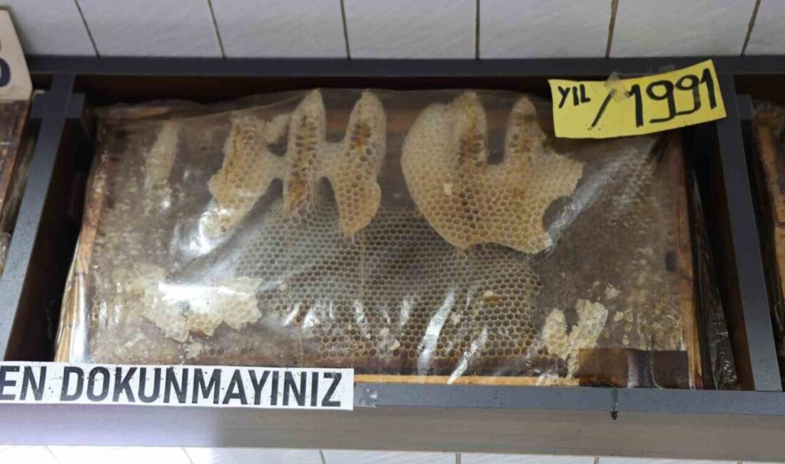 Sivas’ta bir iş yerinde sergilenen 35 yıllık bal çerçeveleri dikkat