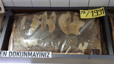 Sivas’ta bir iş yerinde sergilenen 35 yıllık bal çerçeveleri dikkat