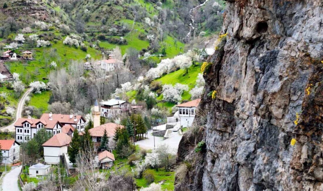 Gümüşhane’nin tarihi Süleymaniye Mahallesi’nde sert kayaların arasından fışkıran ve halk