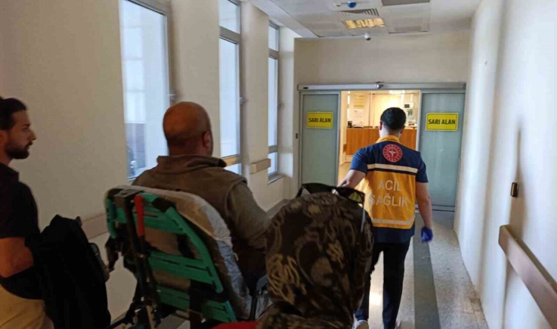 Adıyaman’da hafif ticari araç ile motosikletin çarpışması sonucu 1 kişi