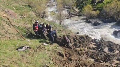 Hakkari’nin Otluca köyünde dere yatağındaki bataklığa saplanan inek, itfaiye ekipleri