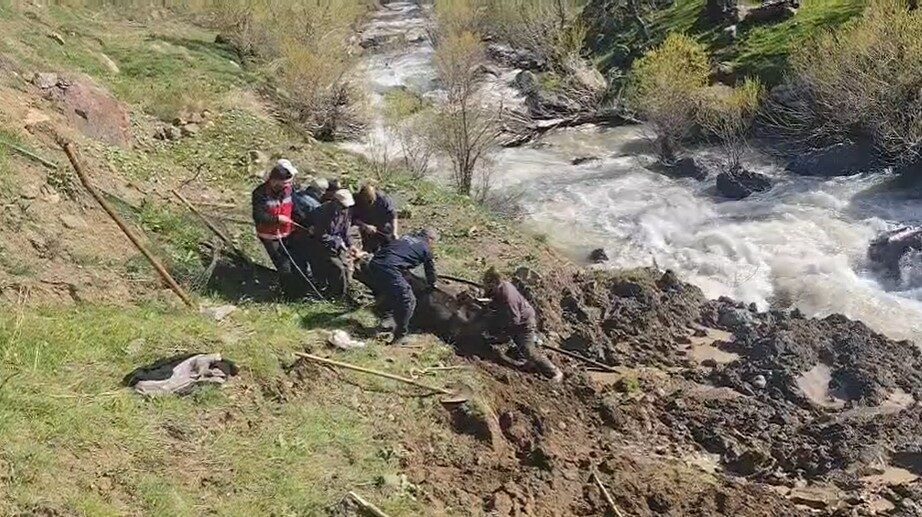 Hakkari’nin Otluca köyünde dere yatağındaki bataklığa saplanan inek, itfaiye ekipleri