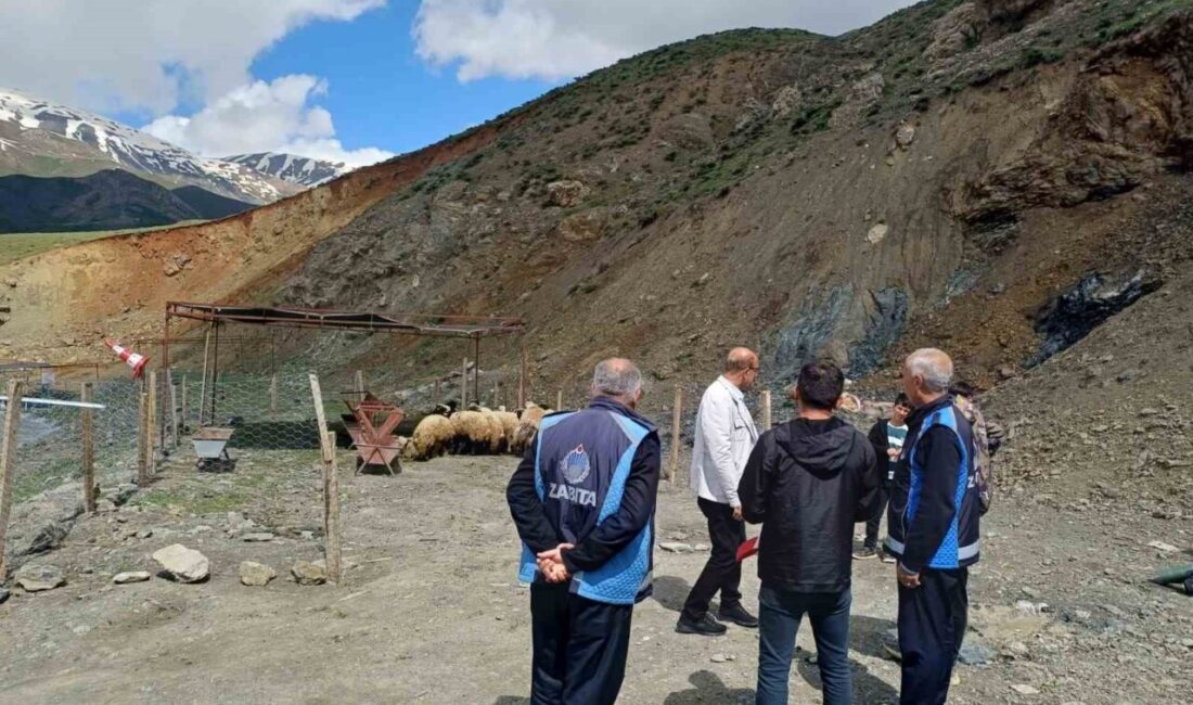 Hakkari’de Kurban Bayramı öncesi kurulan hayvan pazarında kurbanlık satışları başladı.